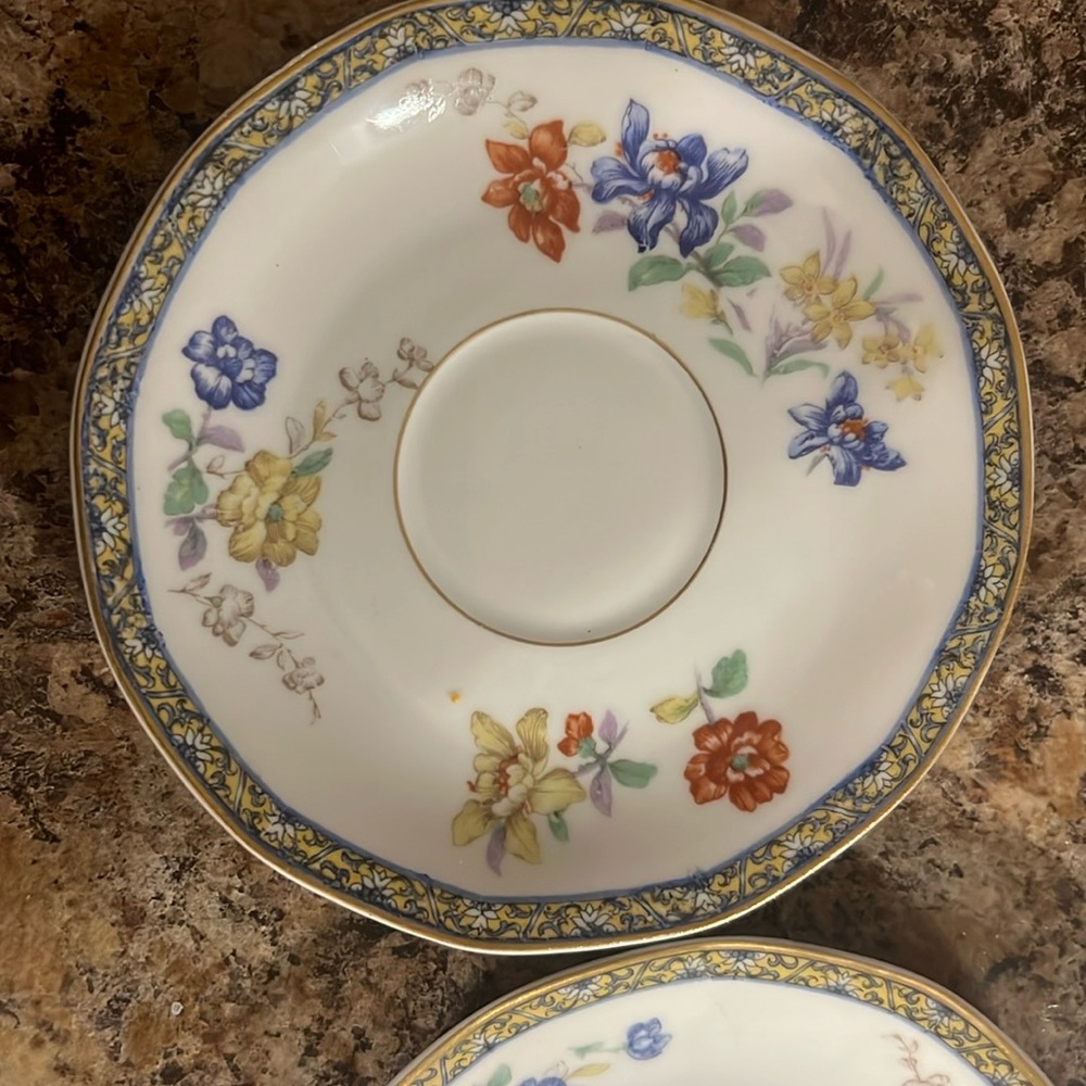 Vintage Limoges Plates 
*A set of 2*